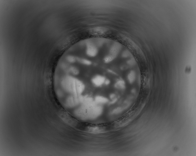 X0000102840561200809021339