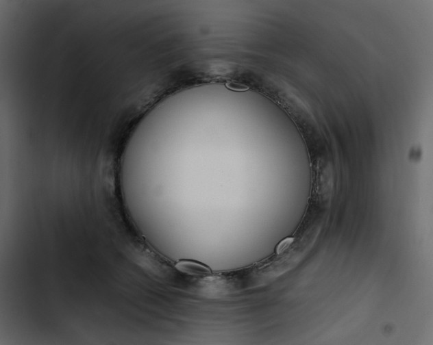 X0000102840562200809021339