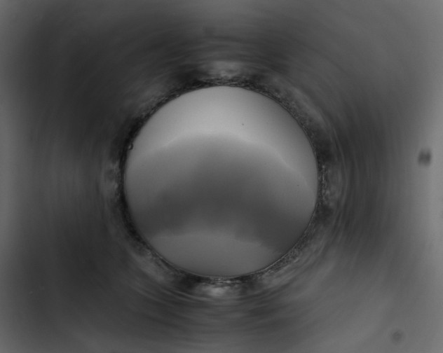 X0000102840563200809021339