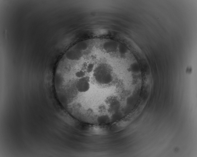 X0000102840565200809021339