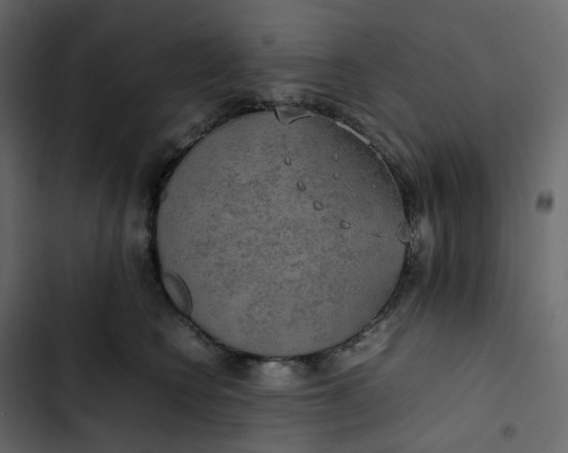 X0000102840566200809021339