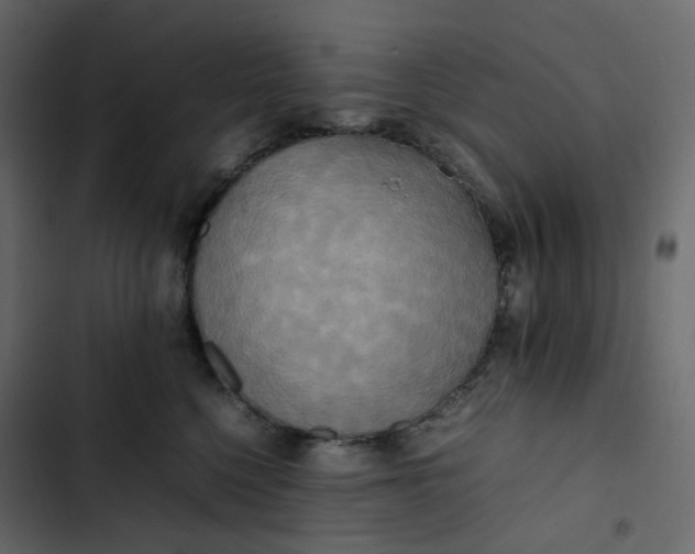 X0000102840568200809021339