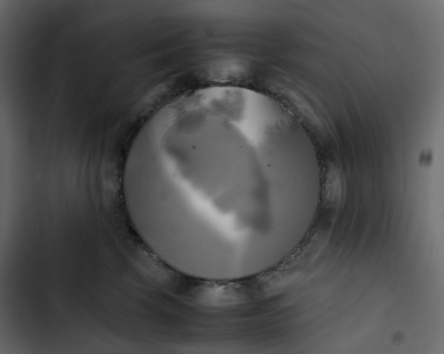 X0000102840569200809021339