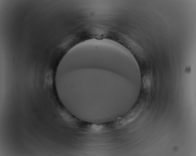 X0000102840570200809021339