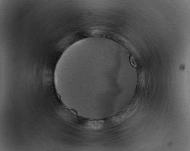 X0000102840571200809021339