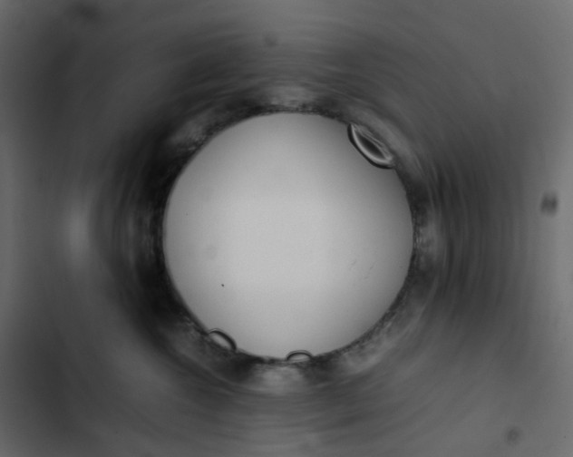 X0000102840572200809021339