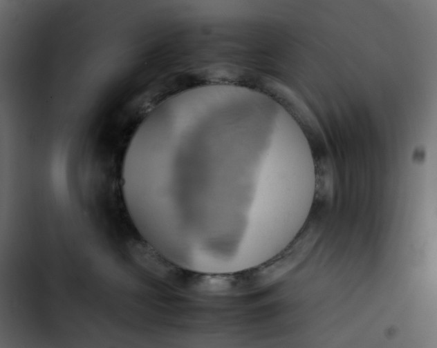 X0000102840573200809021339