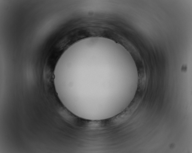 X0000102840574200809021339