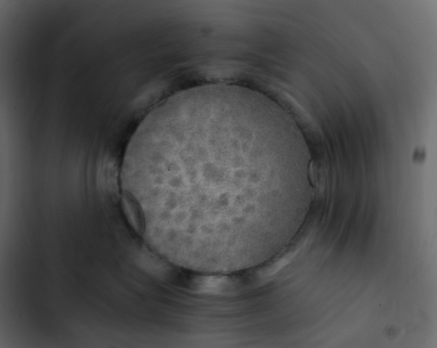 X0000102840575200809021339