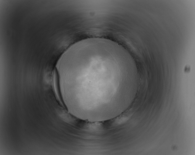 X0000102840576200809021339