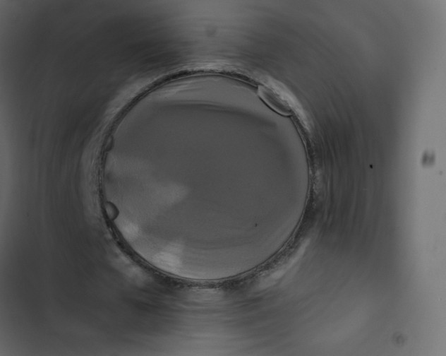 X0000102840577200809021339