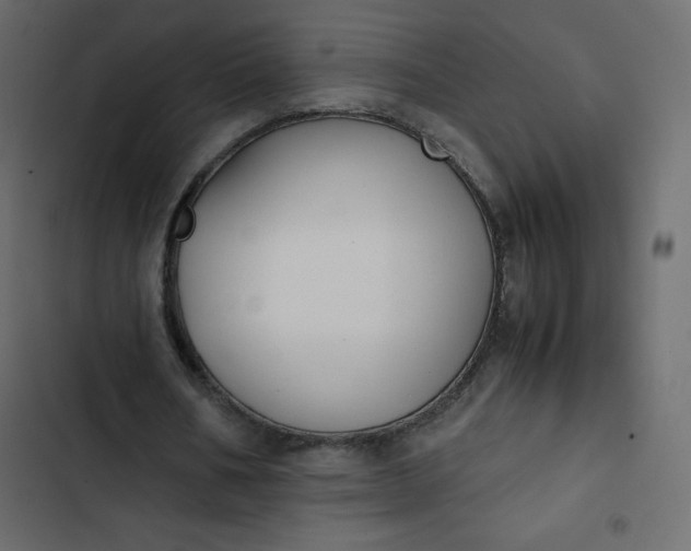 X0000102840578200809021339