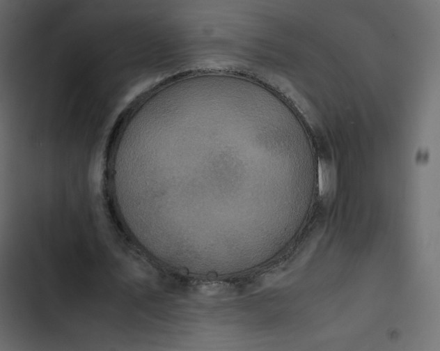 X0000102840579200809021339