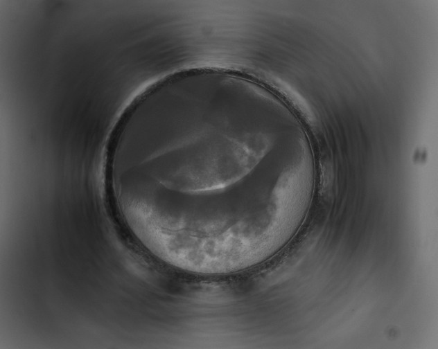 X0000102840580200809021339