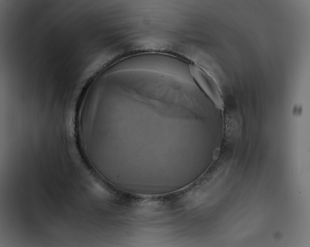 X0000102840581200809021339