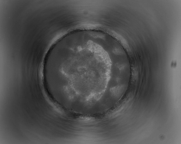 X0000102840582200809021339