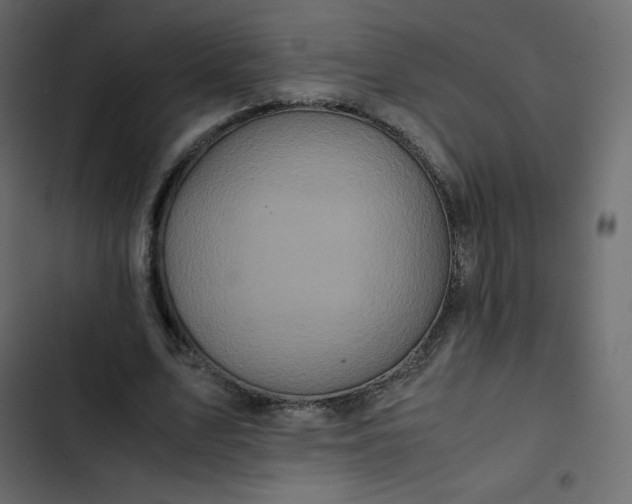 X0000102840583200809021339