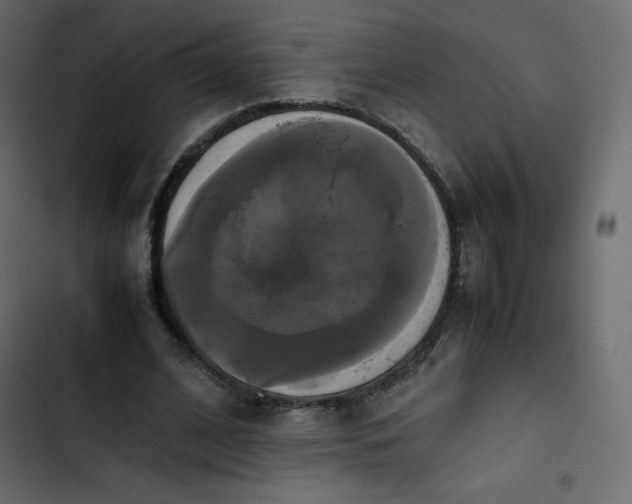 X0000102840584200809021339