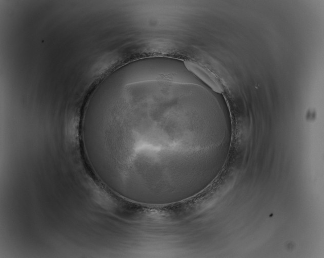 X0000102840585200809021339