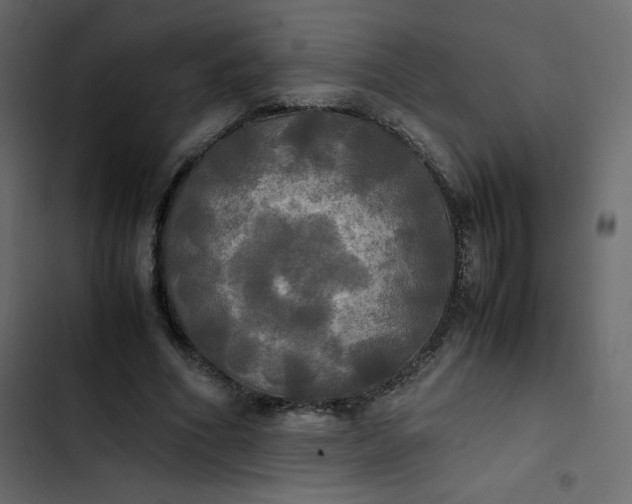 X0000102840586200809021339