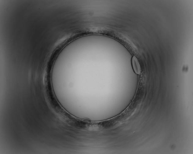 X0000102840587200809021339