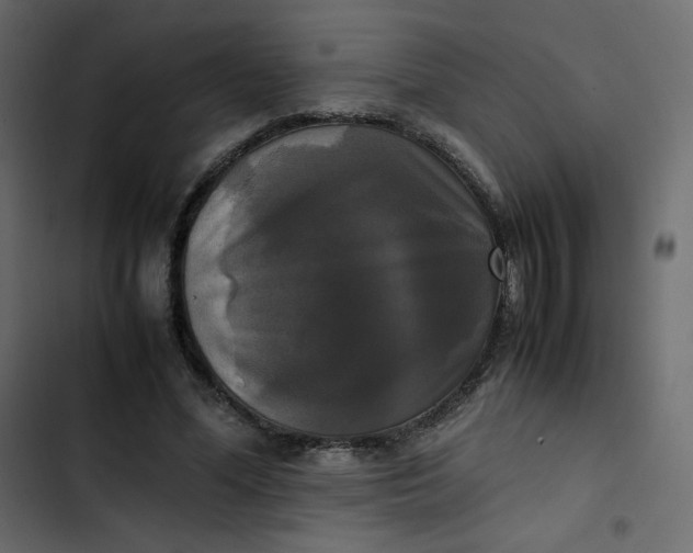 X0000102840588200809021339