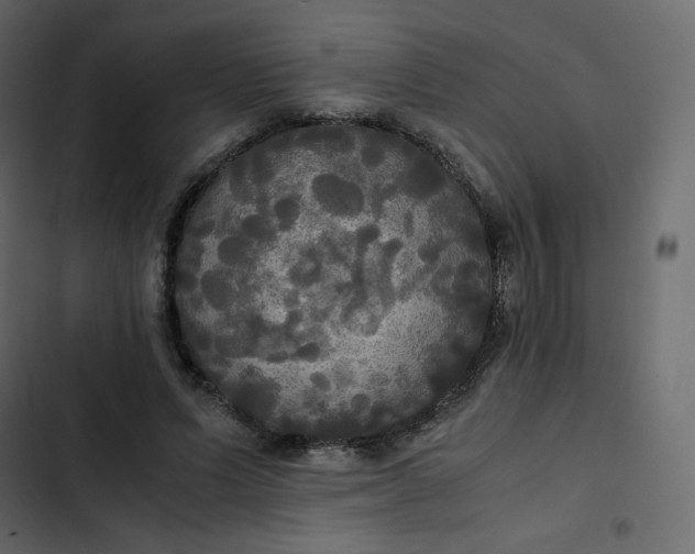 X0000102840591200809021338