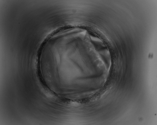 X0000102840592200809021338