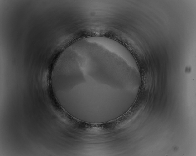 X0000102840594200809021338