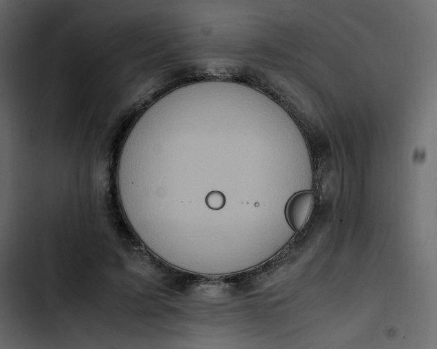 X0000102840595200809021338