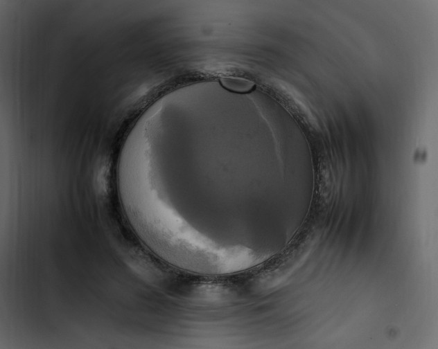 X0000102840596200809021338