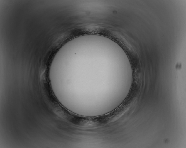 X0000102840597200809021338