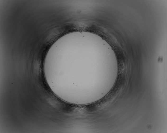 X0000102840599200809021338