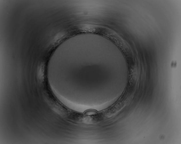 X0000102840600200809021338