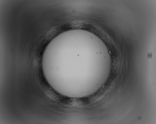 X0000102840601200809021338