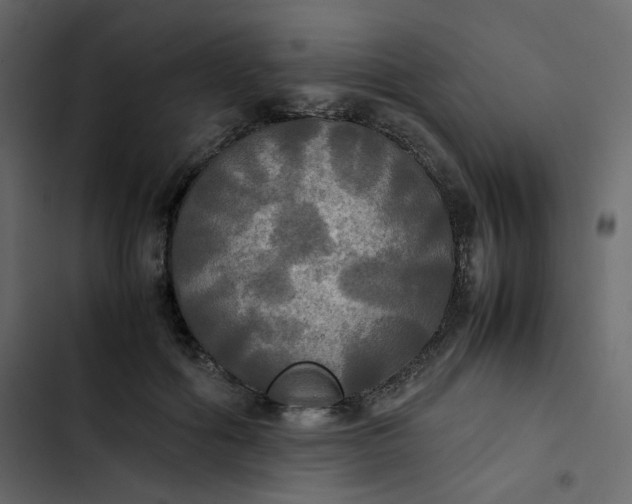 X0000102840602200809021338