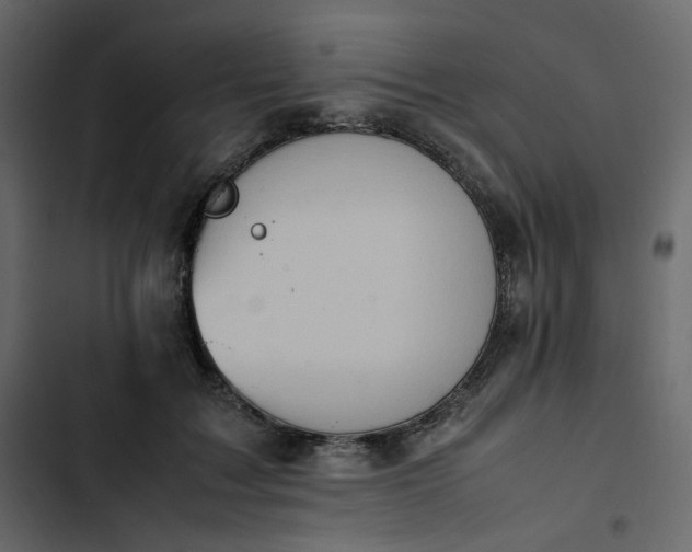 X0000102840603200809021338