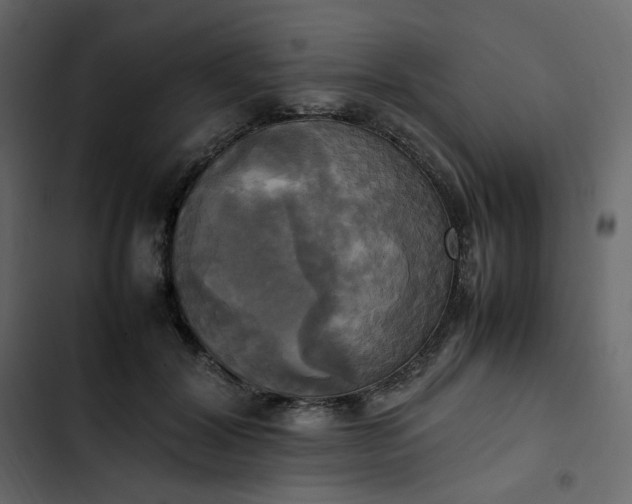 X0000102840604200809021338