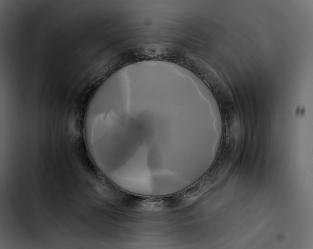 X0000102840606200809021338