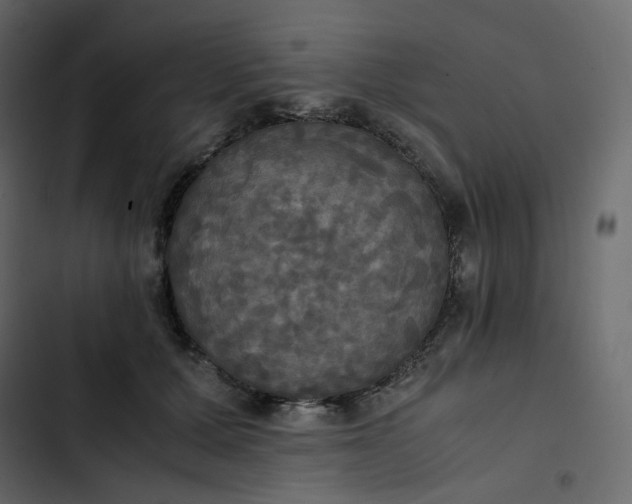 X0000102840607200809021338