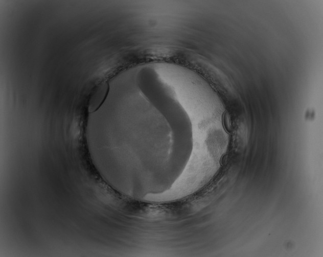 X0000102840608200809021338