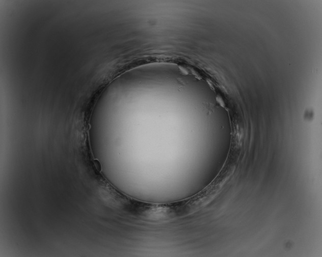 X0000102840609200809021338