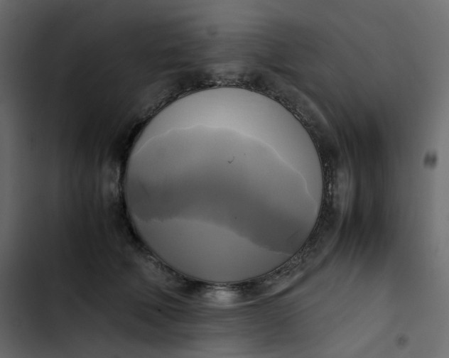 X0000102840610200809021338