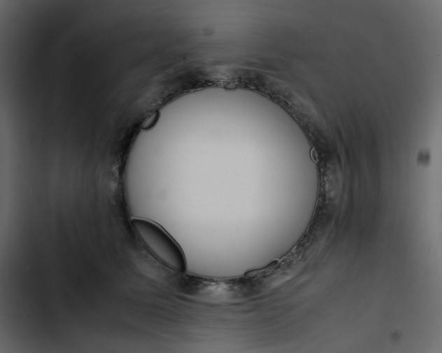 X0000102840611200809021338