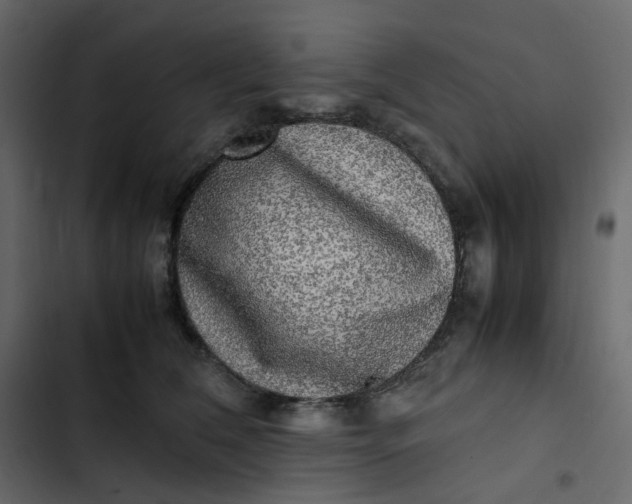 X0000102840612200809021338