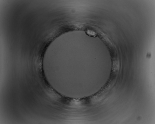 X0000102840613200809021338