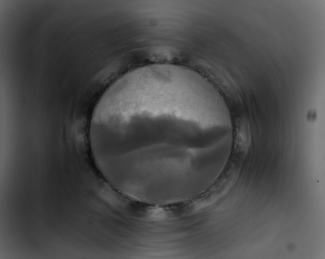 X0000102840616200809021338