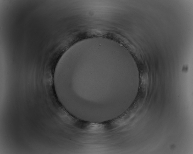 X0000102840617200809021338