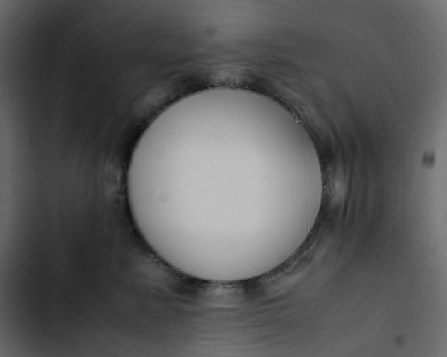 X0000102840619200809021338