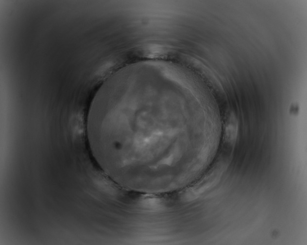 X0000102840620200809021338